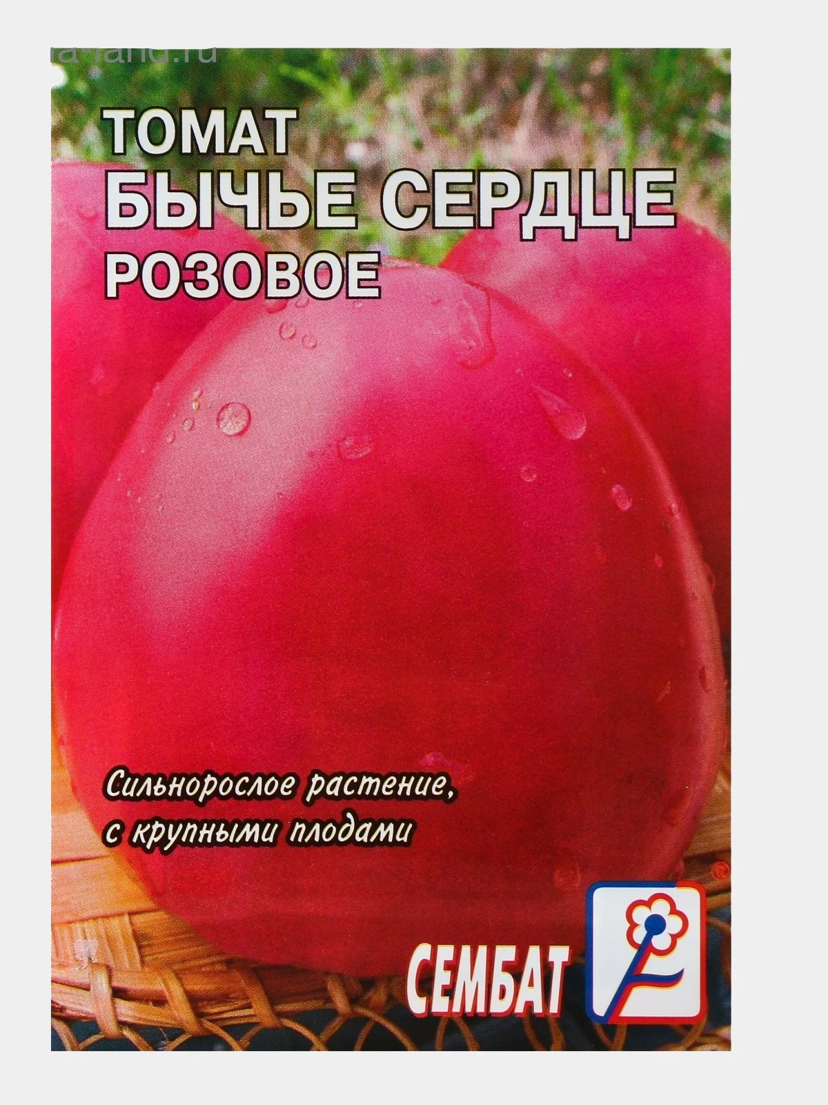 Семена Бычье Сердце Компакт Купить