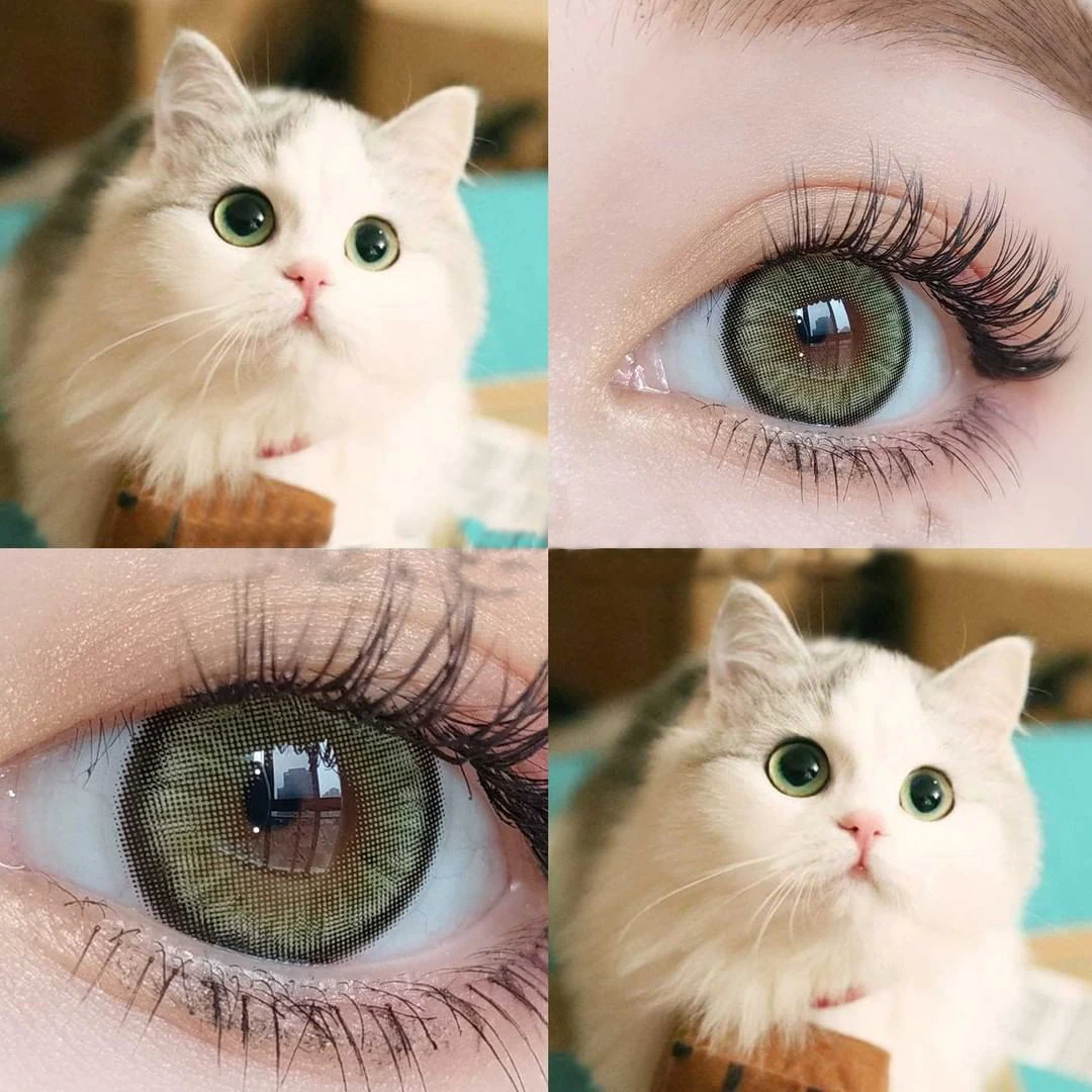 

Bio Essence Lens Color Lens 1 Pair Eyes Brown Green Contact Lenses Yearly High Quality Natural Contact Lenses Brown Lens