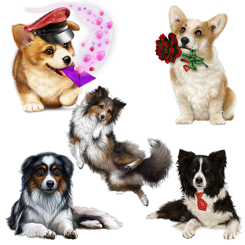 Наклейка на стену в виде животного Three Ratels QD142 Border Collie и welsh corgi pembroke украшение для