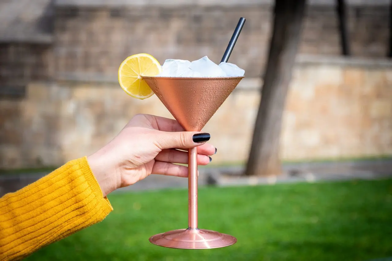 

Frozen Cheers Copper Cocktail Glass Stainless Steel Wie Goblet Champagne Cup Beer Drink Mug Cocktail Kitchen Tools Margarita