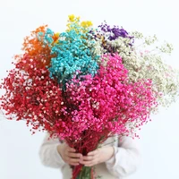 really flowers natural dried gypsophila pink white purple yellow and so on home decoration and wedding flowers