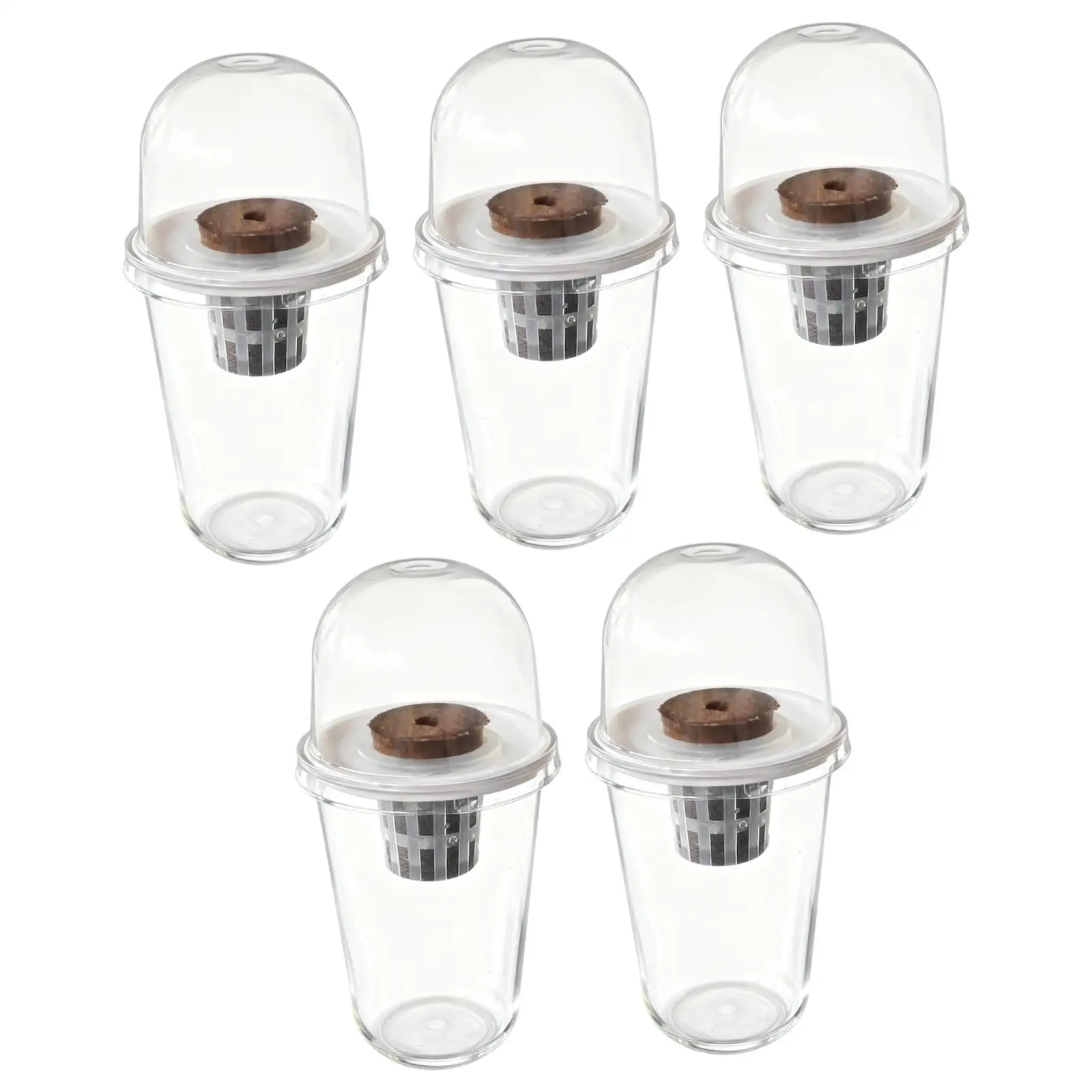 

Гидропонная система для рассады из пластика