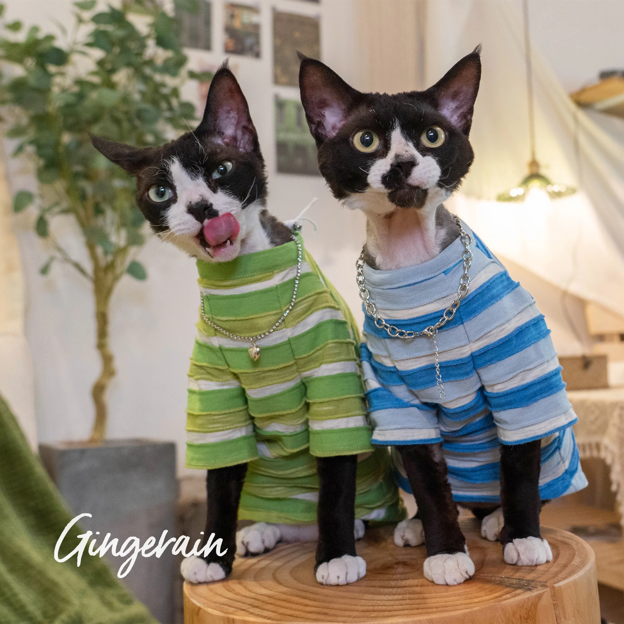 

Gingerain Sphynx Cat Clothes Hairless Cat Clothing 100% Cotton Textured Irregular Seiko Striped Crewneck Loose T-Shirt soft