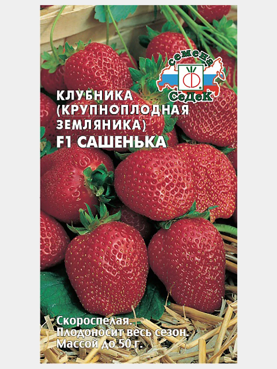 Земляника сашенька описание сорта. Клубника сашенька семена седек. Клубника сашенька седек. Земляника сашенька f1. Земляника ремонтантная сашенька.