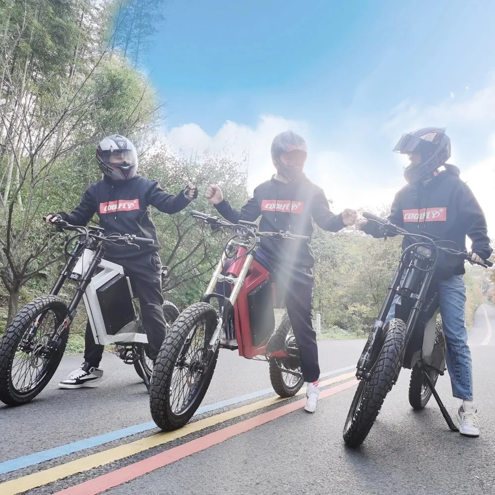 CE en15194 цена авиатора Европейский велосипед sur ron bee электрический мотоцикл sun ebike 72