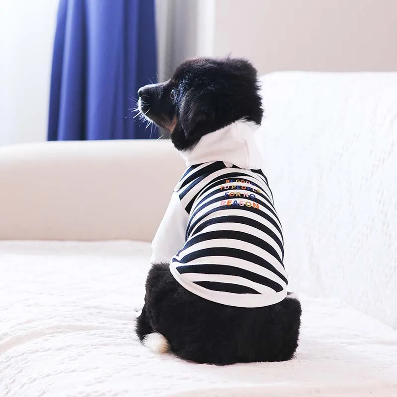 

Pet Printed Letter Hoodie for Small and Medium Dogs, Girl and Boy Autumn and Winter
