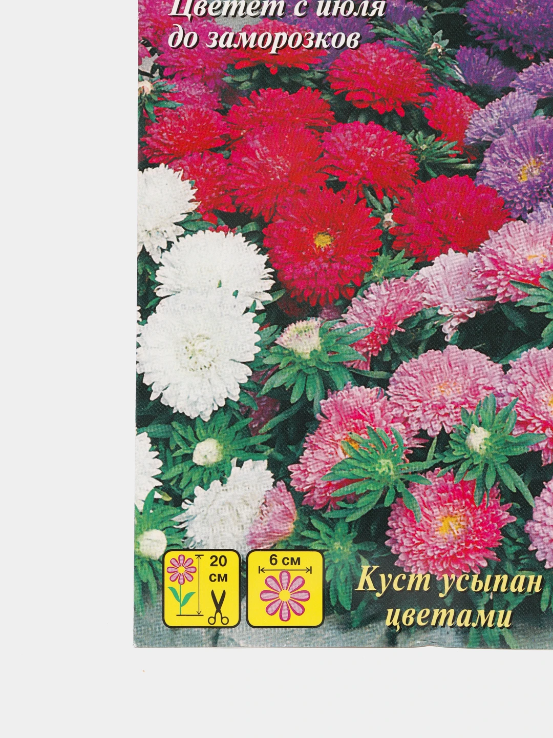 Купить Семена Низкорослых Однолетников