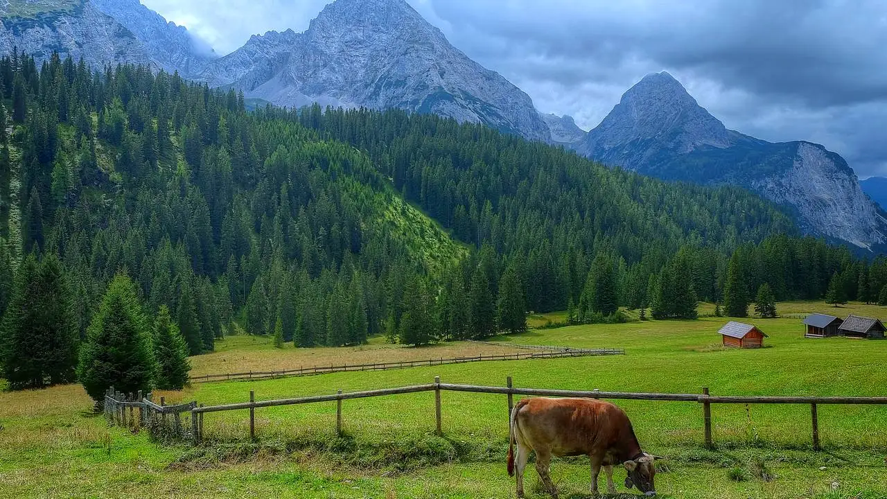 LinxOne картина на экокоже  