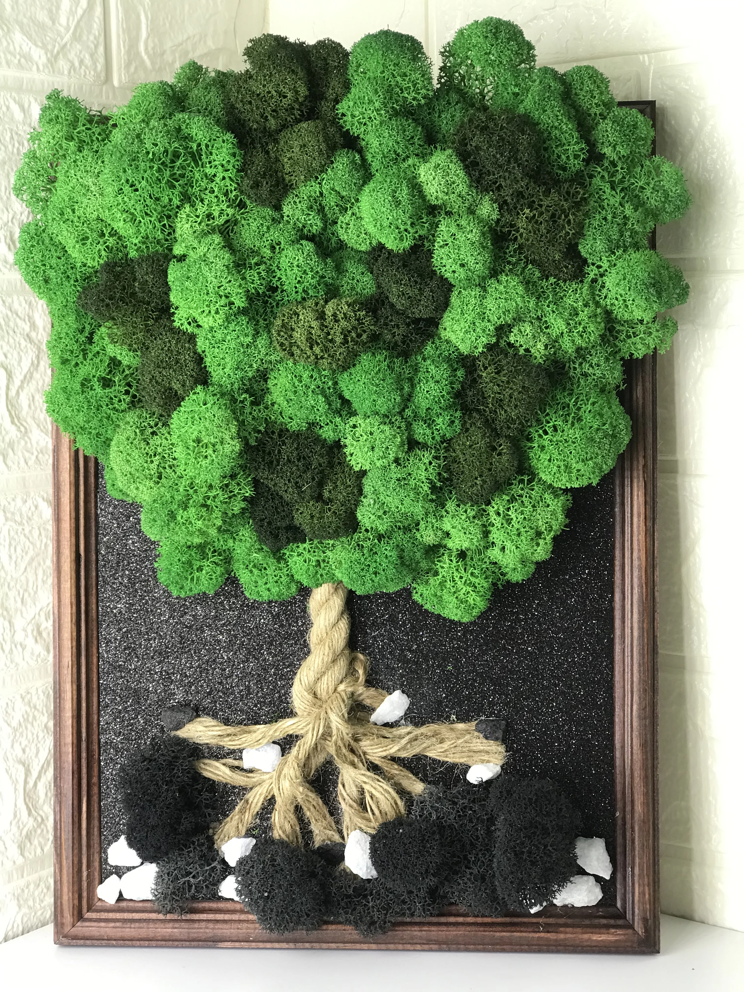 живой мох дерево. исландский мох (цетрария). живой мох дерево. цетрария исландский мох дерево. живой мох дерево.