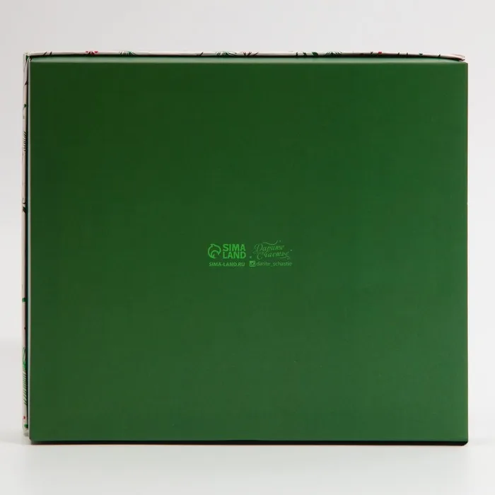 Box Gift &quottwigs” 23.5 × 20.5 5.5 cm | Boxes & Bags