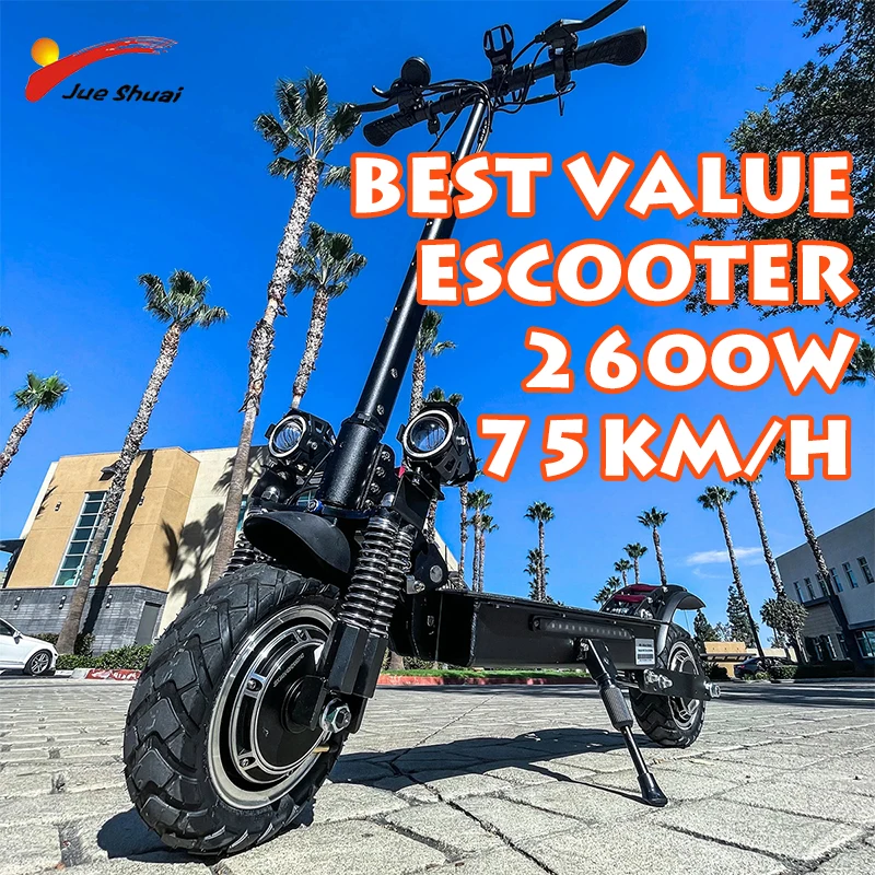 Best Value Electric Scooter 2600W Dual Motor All Terrain 10