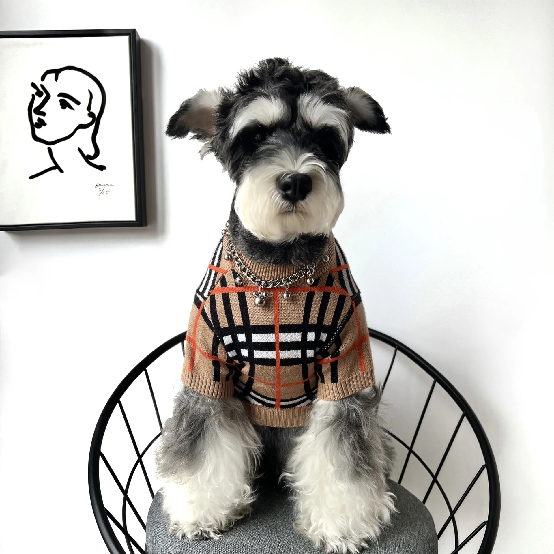 

Трендовая вязаная осенне-зимняя теплая одежда с алфавитом для домашних животных маленькие и средние собаки чихуахуа бульдог Шнауцер