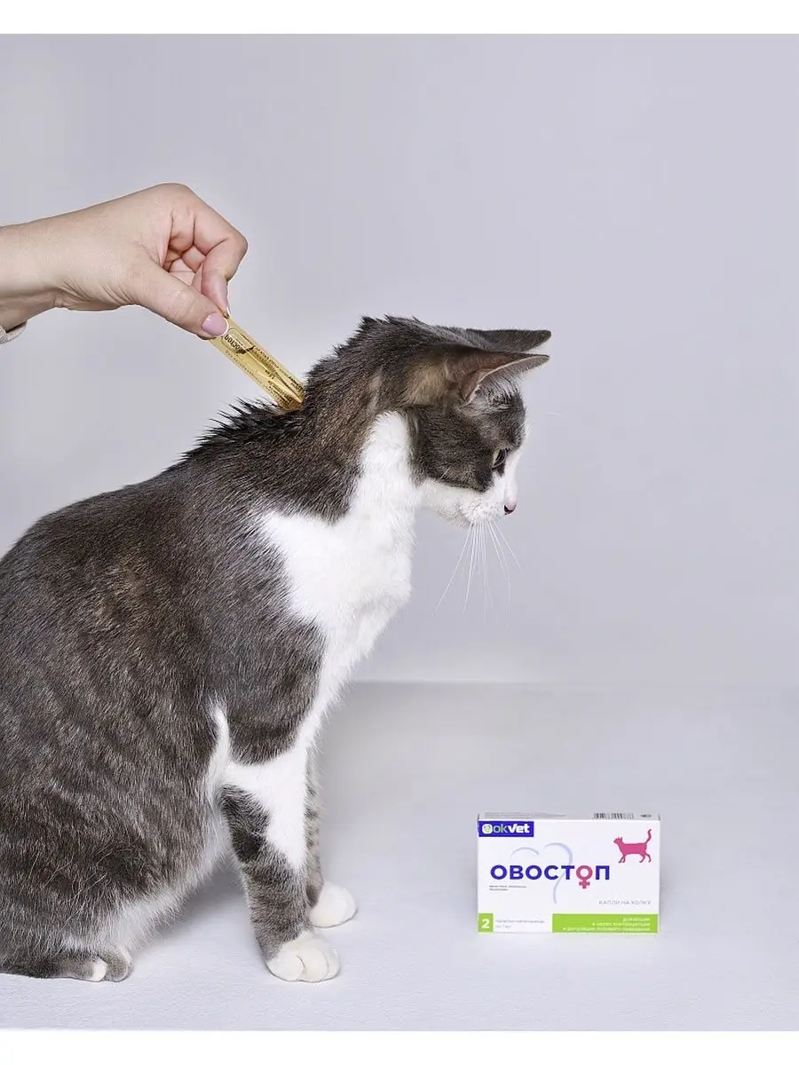 Овостоп капли для кошек. Капли от блох для кошек. Как работают капли на холку от блох. Барс капли на холку для кошек. Как работают капли на холку от блох.