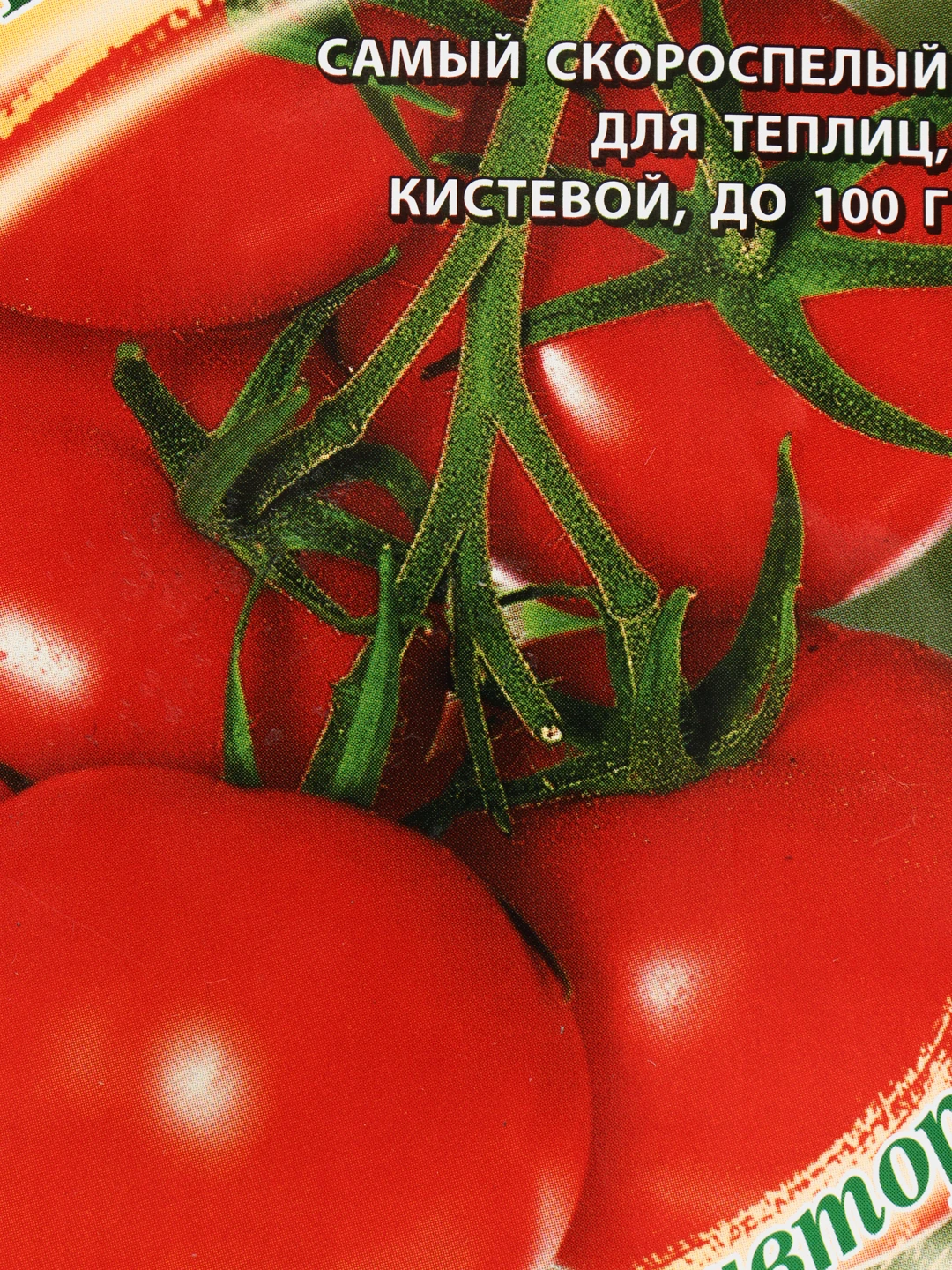 Семена Помидор Самара Купить