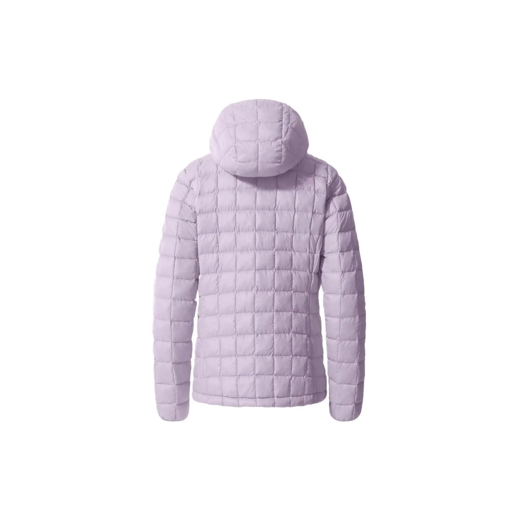 Рисунок 2 - THE NORTH FACE Термоболл Эко Толстовка