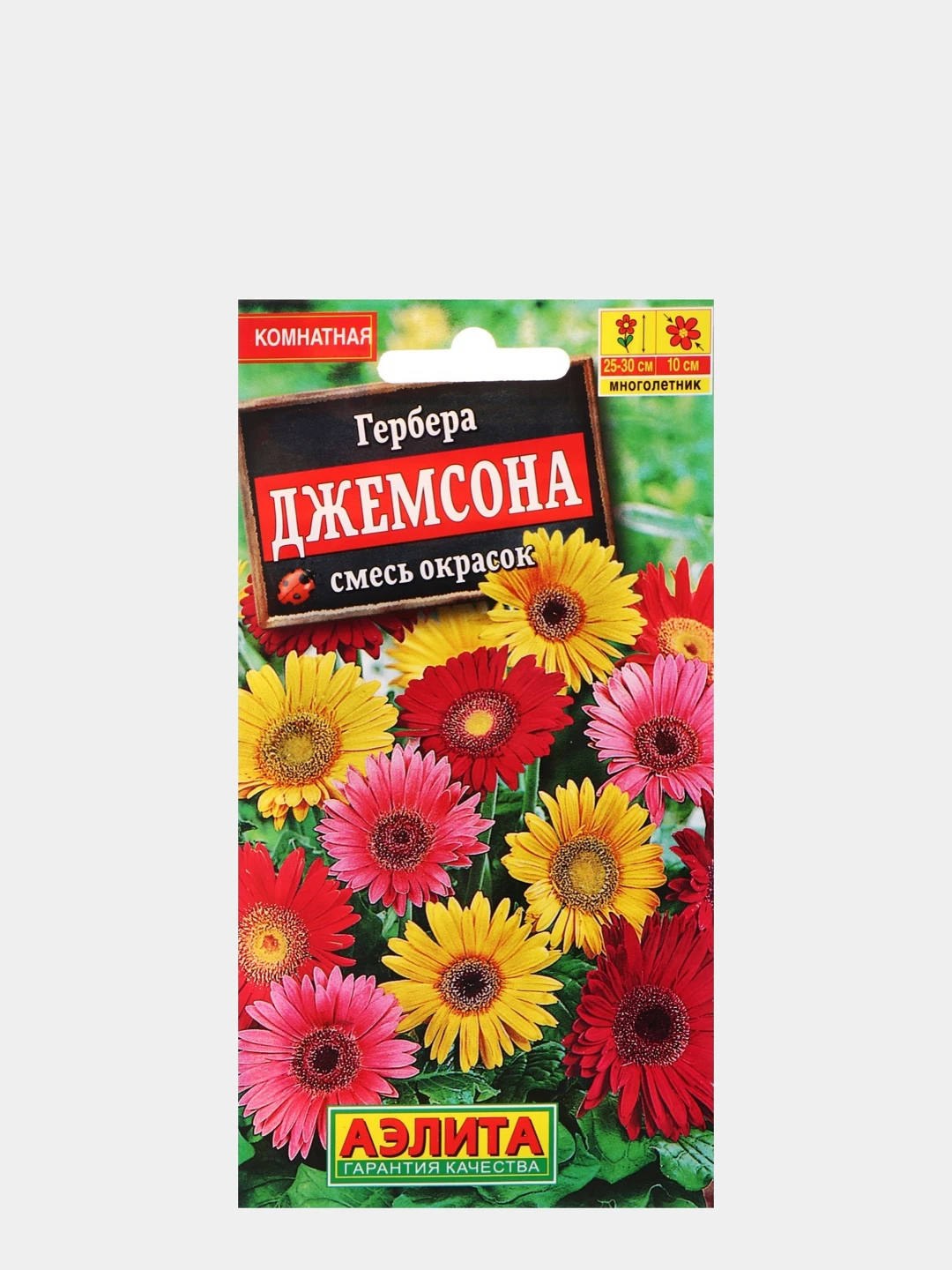 Гербера Семена Фото