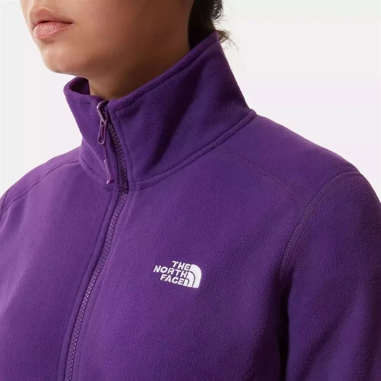 Рисунок 5 - The North Face W 100 Glacier Fz