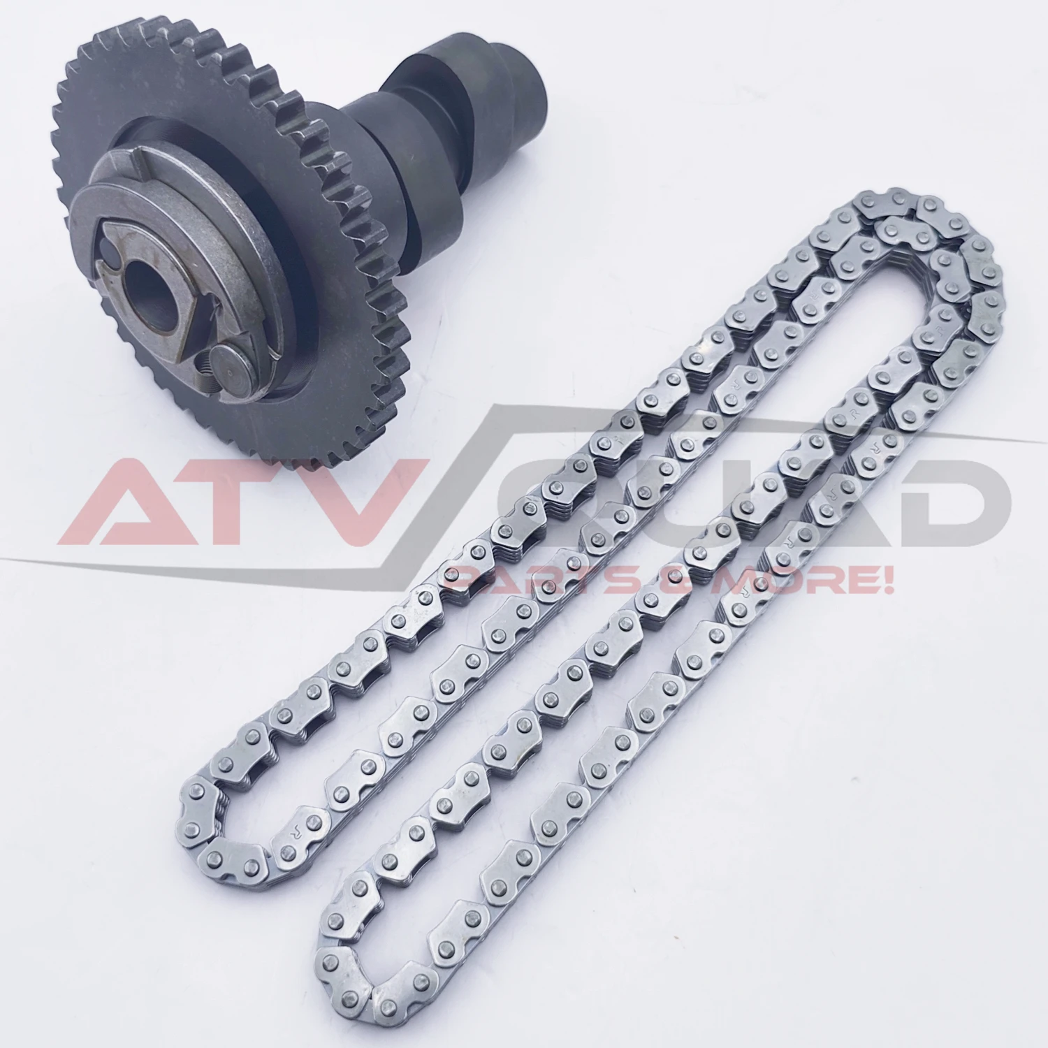 Рисунок 3 - Распредвал с цепью синхронизации