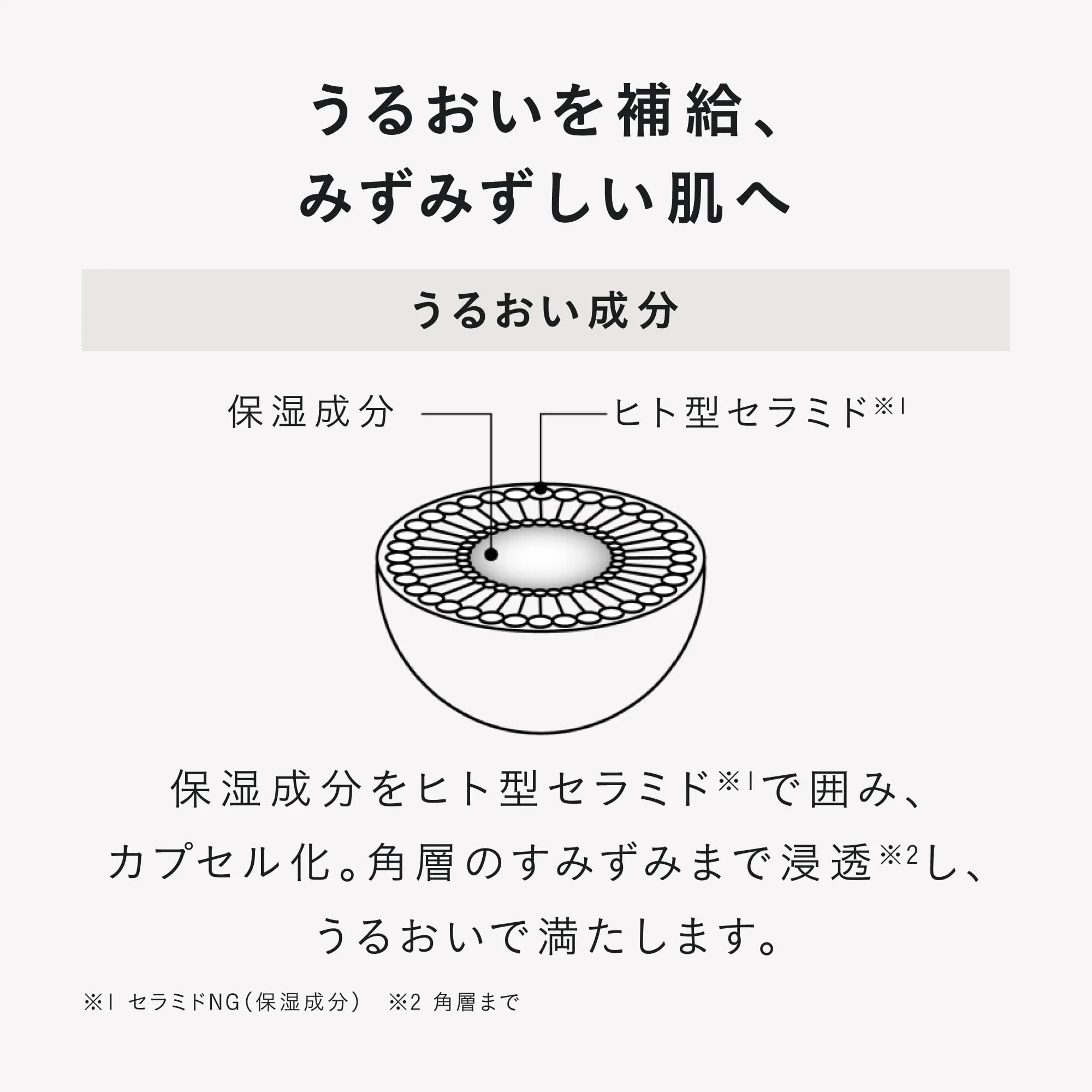 Дневная увлажняющая вуаль Дисенсии Цуцуму