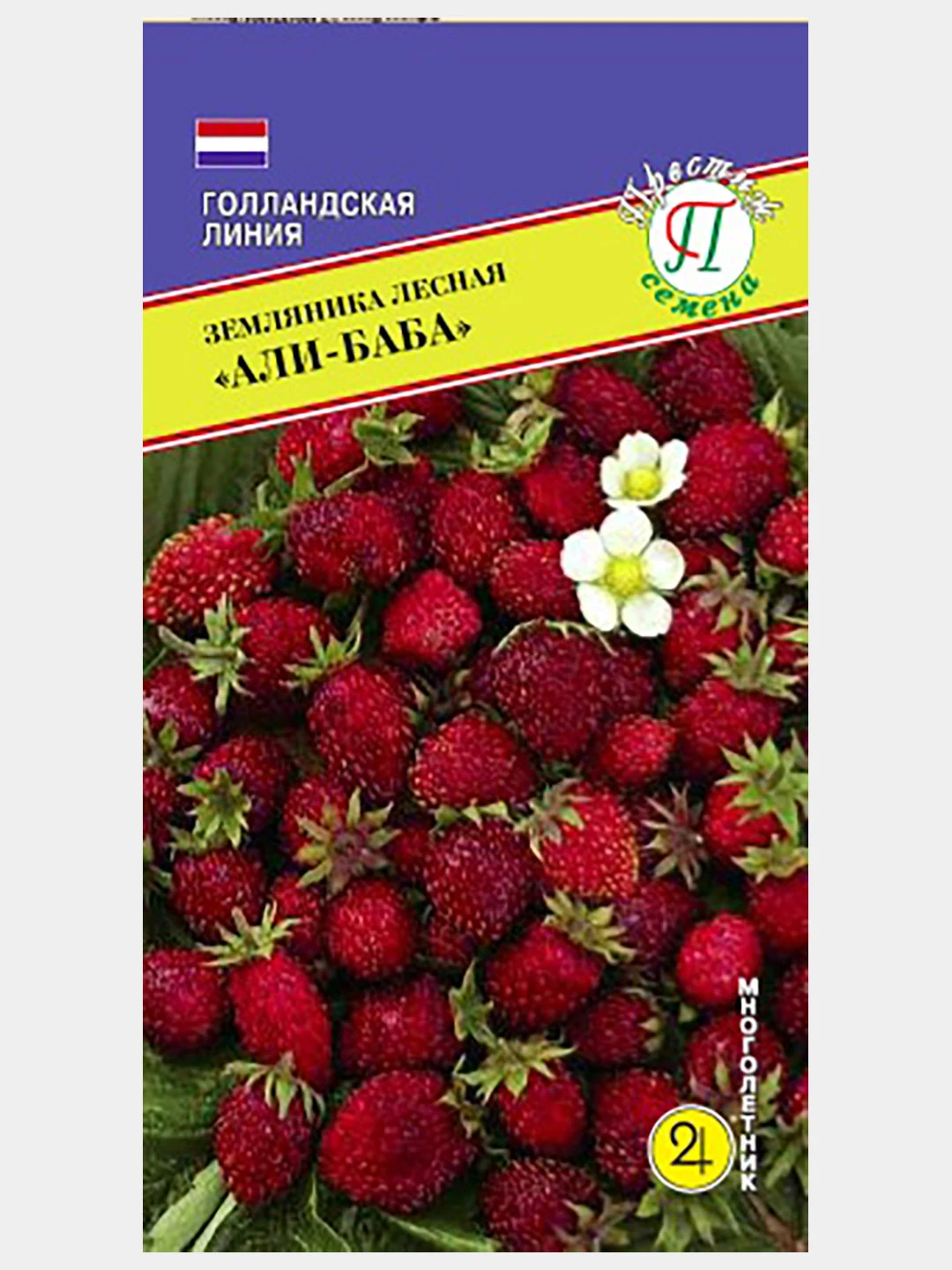 Саженцы Земляники Купить В Интернет