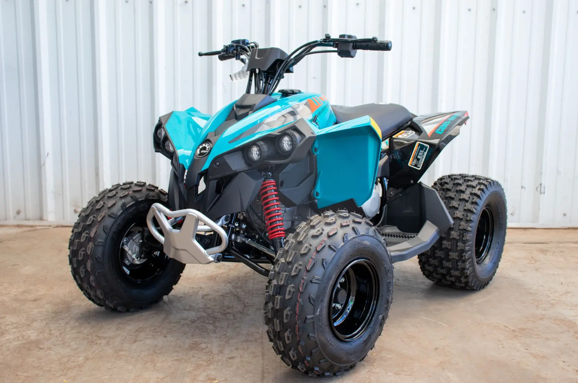 

100% Официальный 2023 Can-Am®Renegade 110 EFI