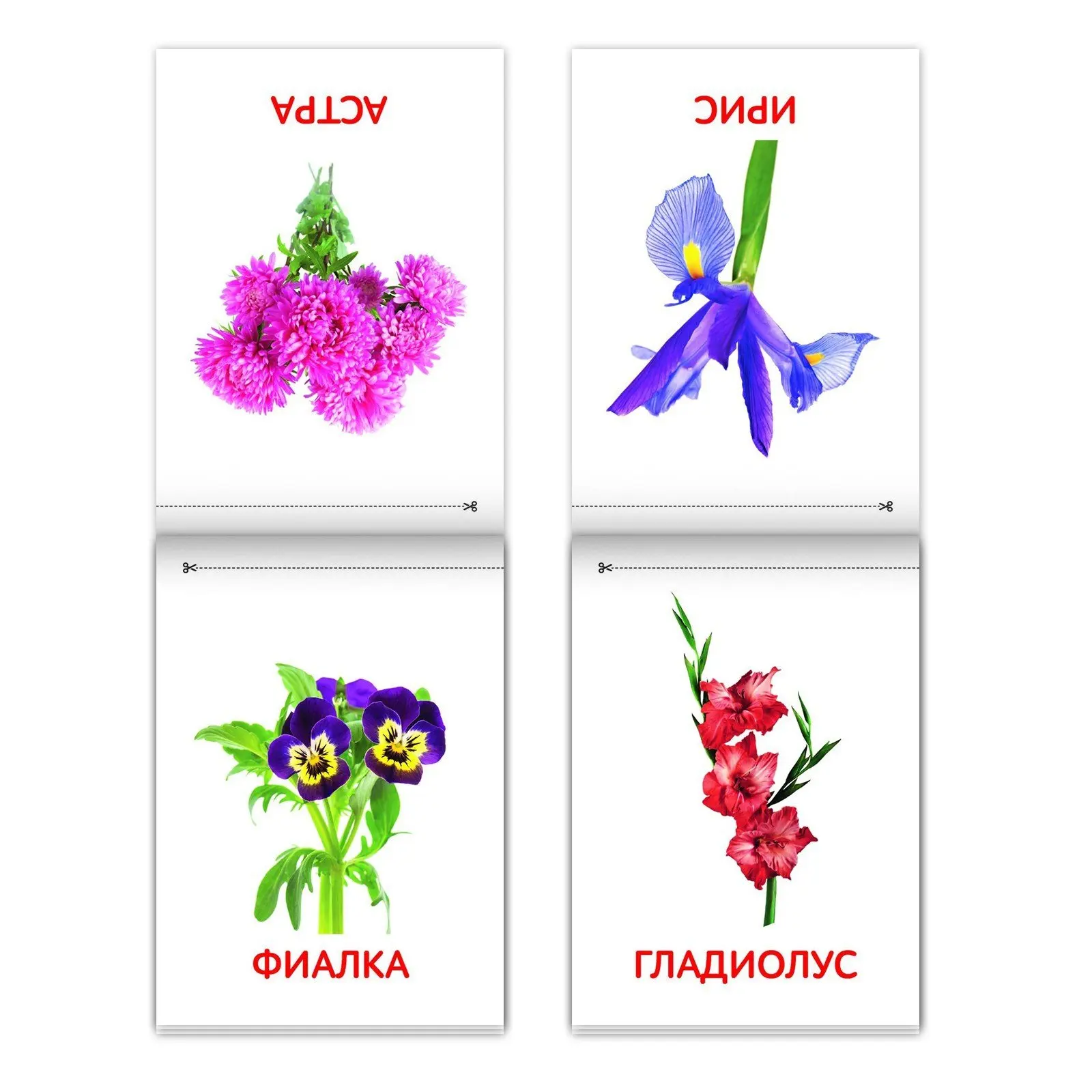 Карточки Домана Для Самых Маленьких Купить