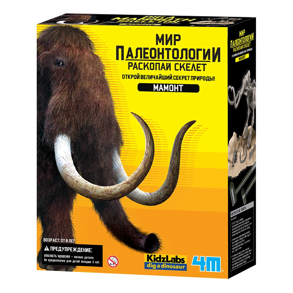 Набор 4M Раскопай скелет Мамонта | Денежные и банковские игрушки