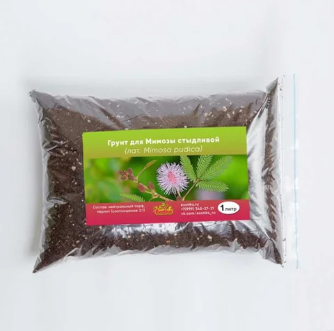 Грунт для Стыдливой или пугливой Мимозы - изображение