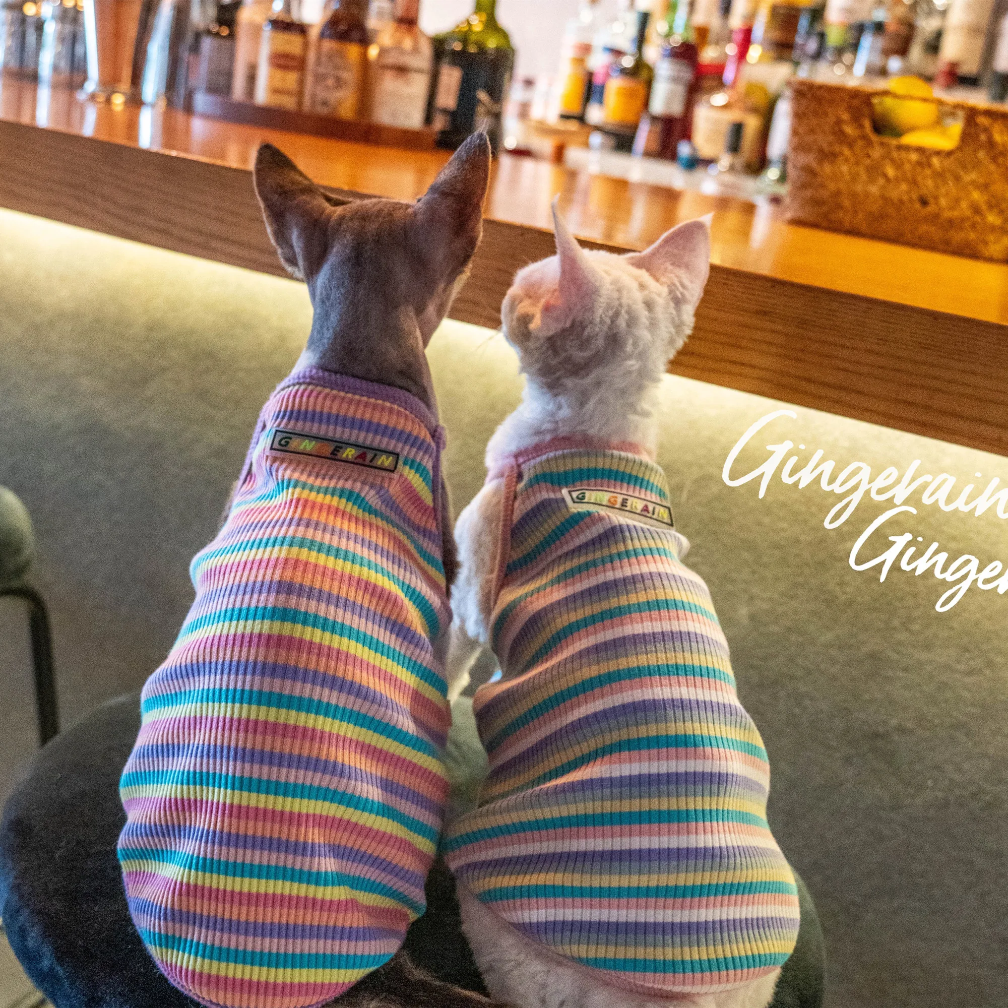 

Gingerain Sphynx Cat Clothes Cat suspenders summer cool suspenders Comfortable and soft easy to wear