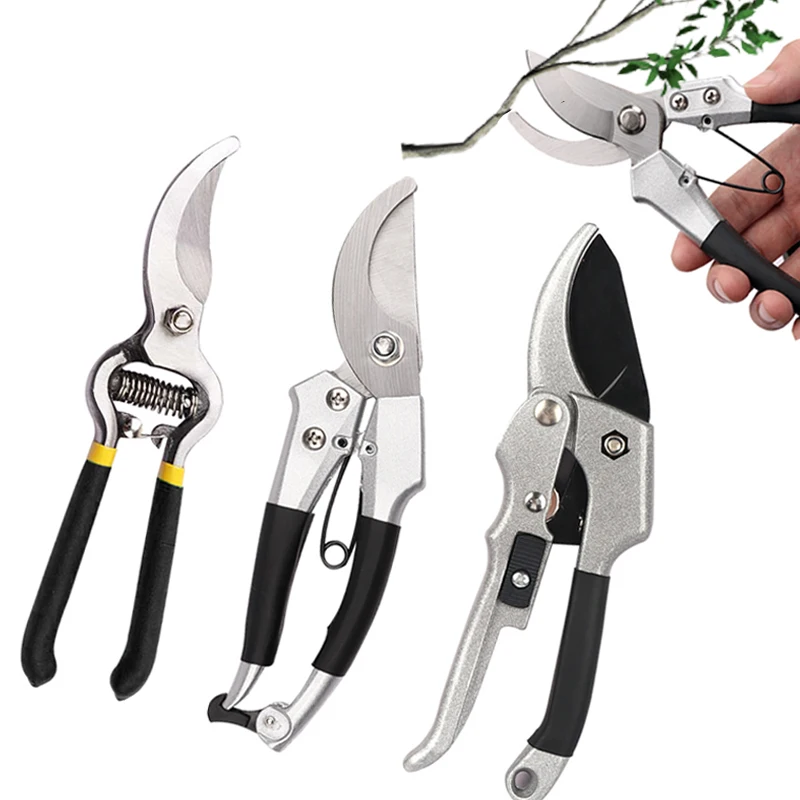 Garden Shears Cutting Pruner Scissors for Branches Flowers  Garden Orchard Pruner Seedlings Orchard Bonsai Tools Pruning for Yar