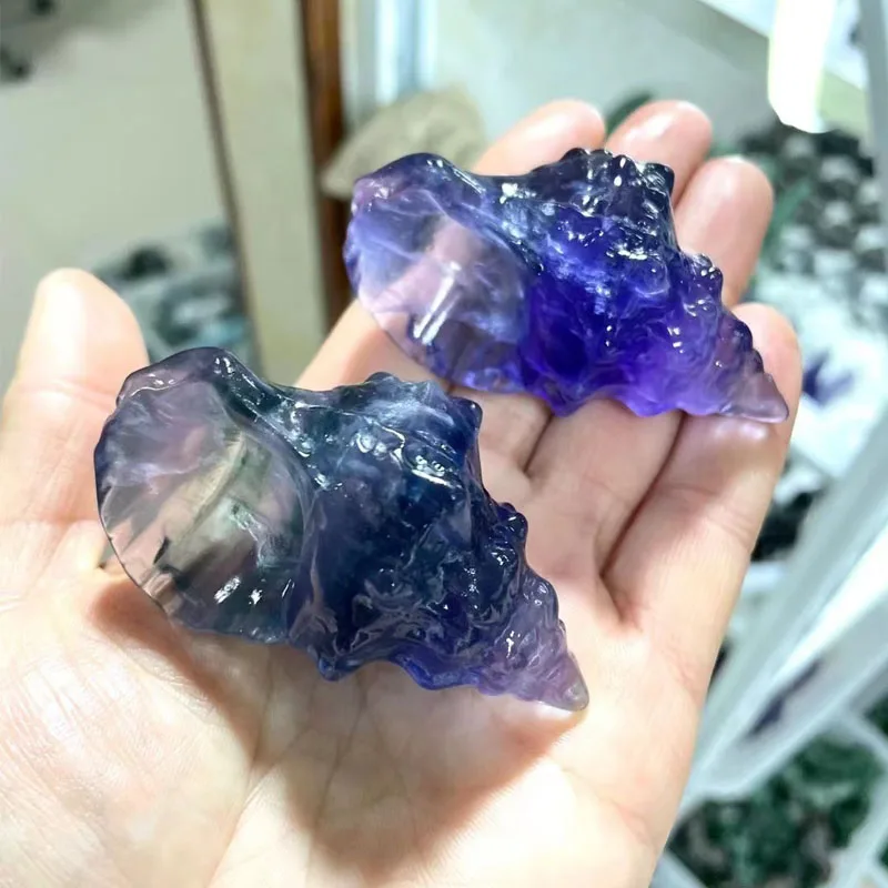 Маленькая флюоритовая ракушка резьба по кристаллу скульптура пляж океан декор