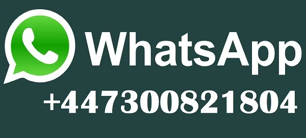 Новейшее море-ду GTI ™ SE170 IBR и звуковая система