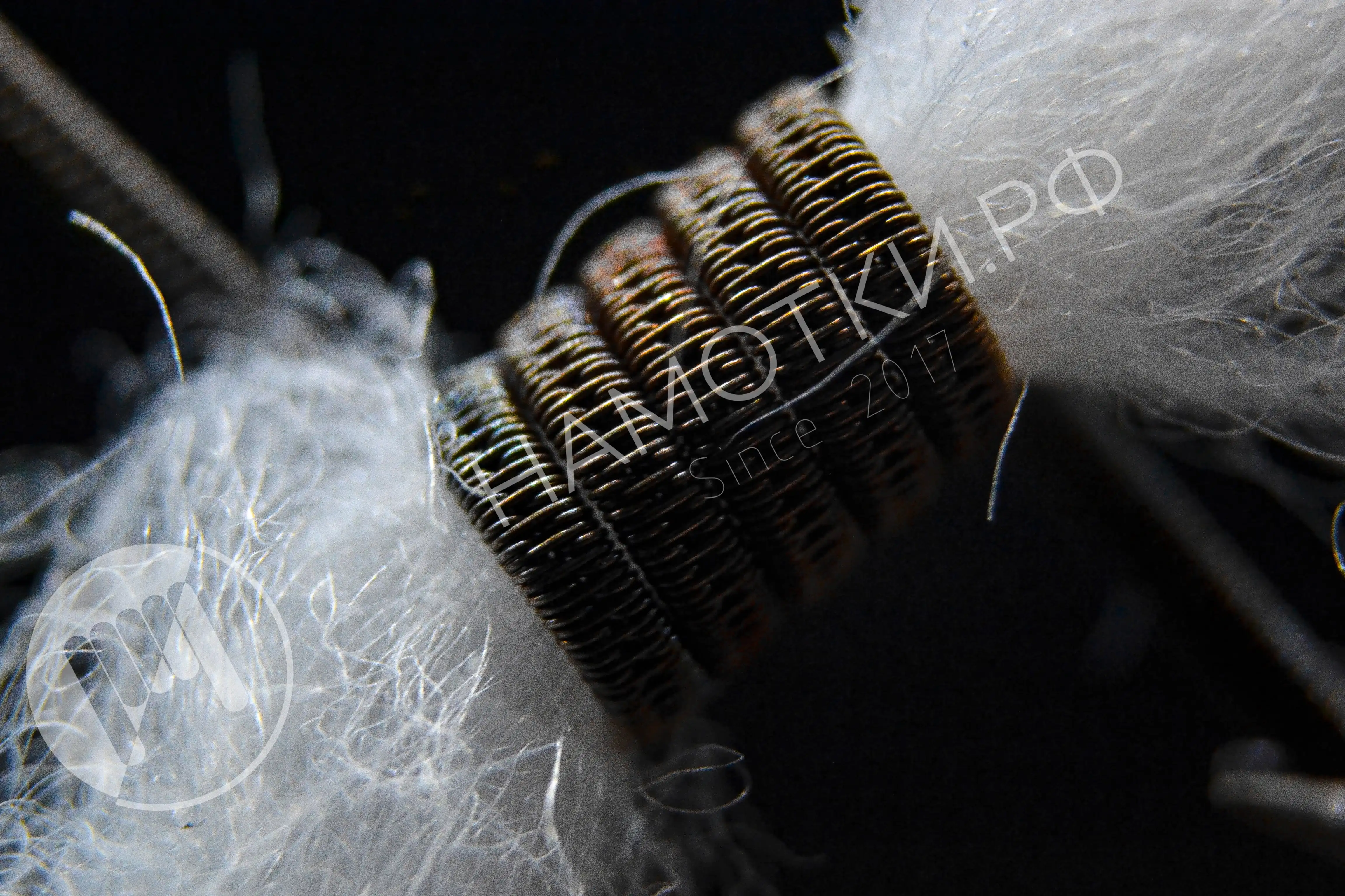 Golden coil mw фото 64