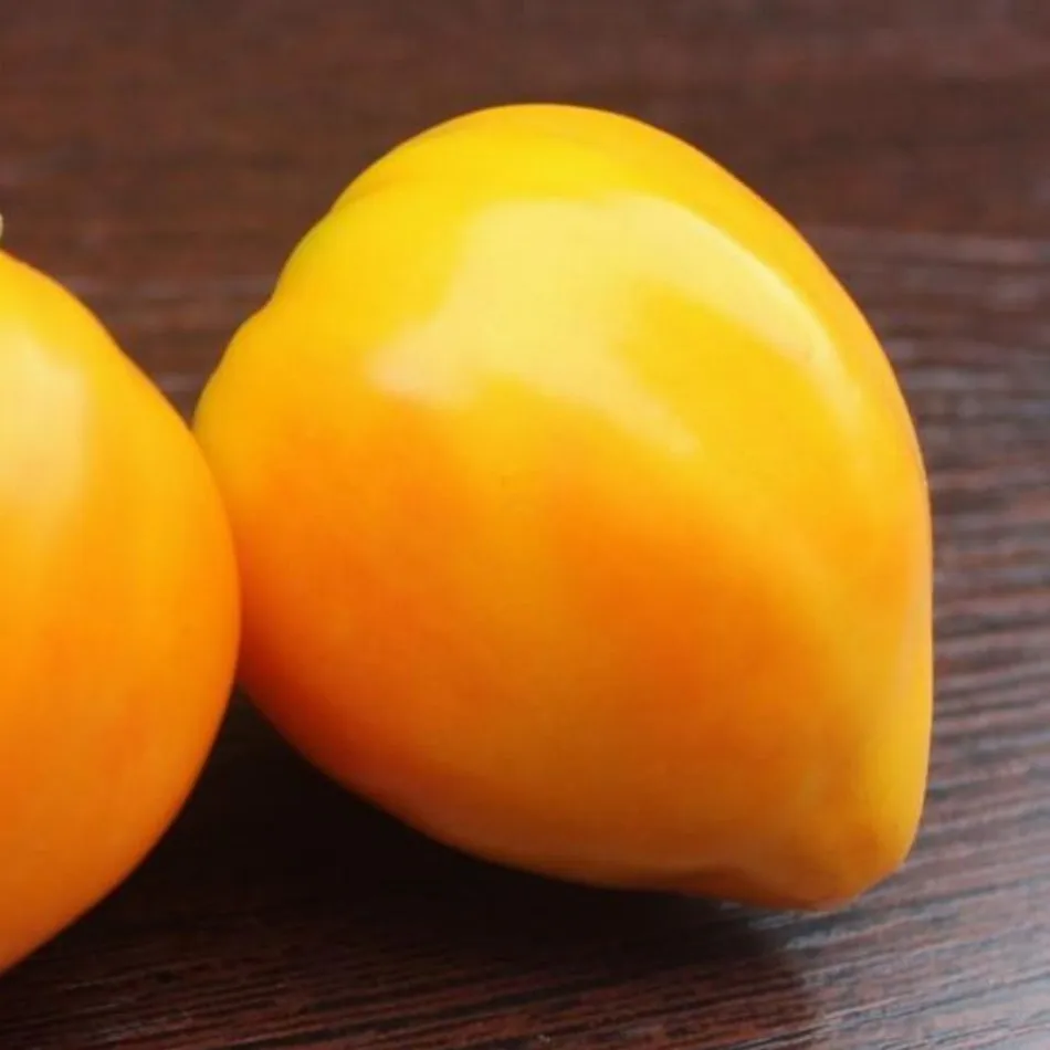 томат янтарная рыбка. томат янтарная рыбка. томат янтарный барон. томат янтарный барон. томат янтарный барон характеристика и описание.