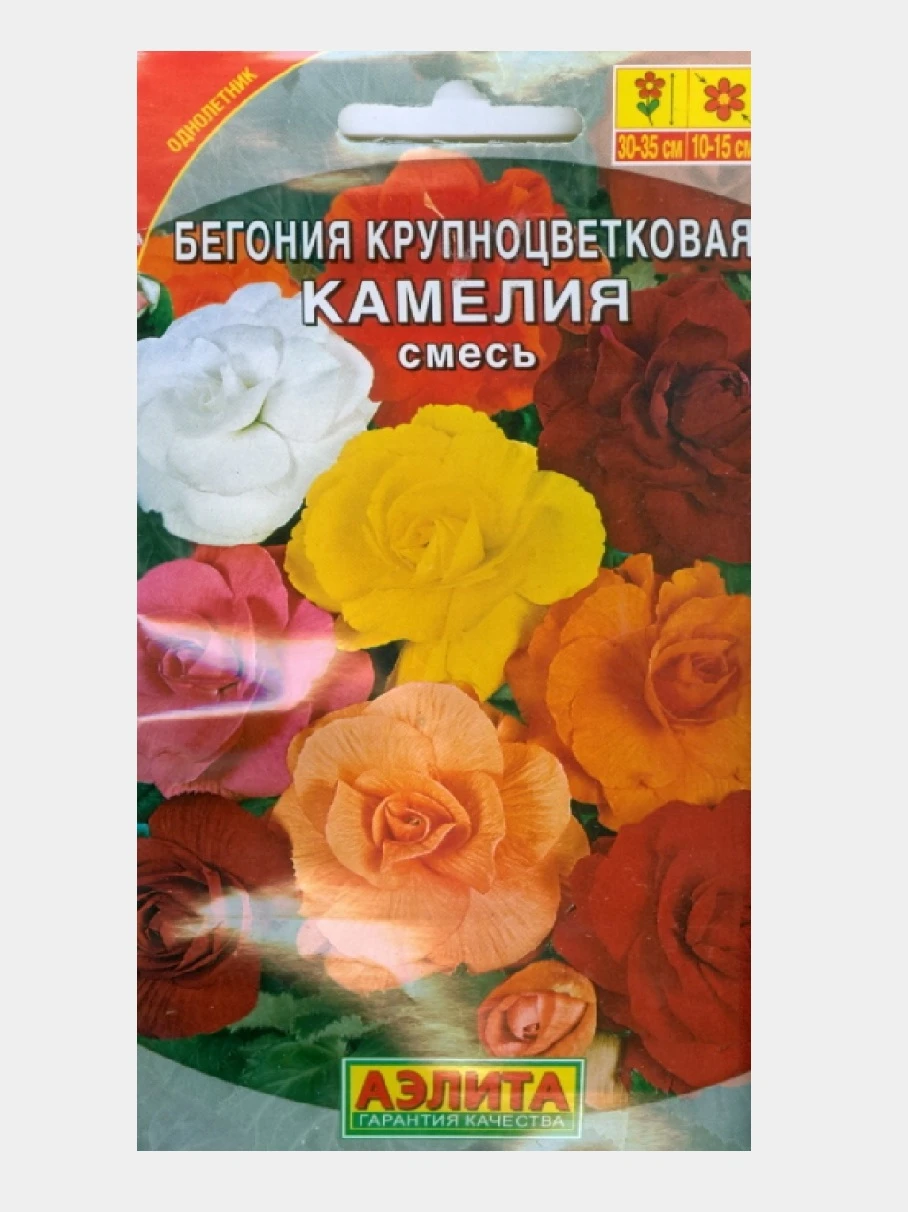 Купить Семена Бегоний Недорого