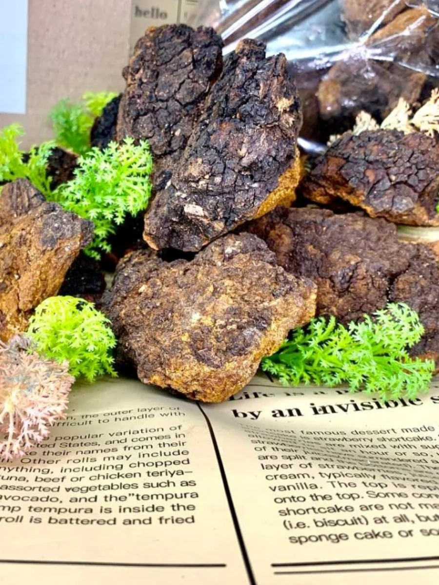 Чага Берёзовая &quotЦелительная&quot Кусковая 500 гр. Собственное Производство -