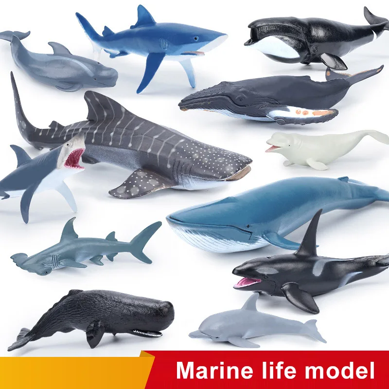 Simulação marinha vida marinha baleia figurinhas tubarão cachalot figuras de ação oceano animal modelo golfinho hammerhead brinquedos educativos