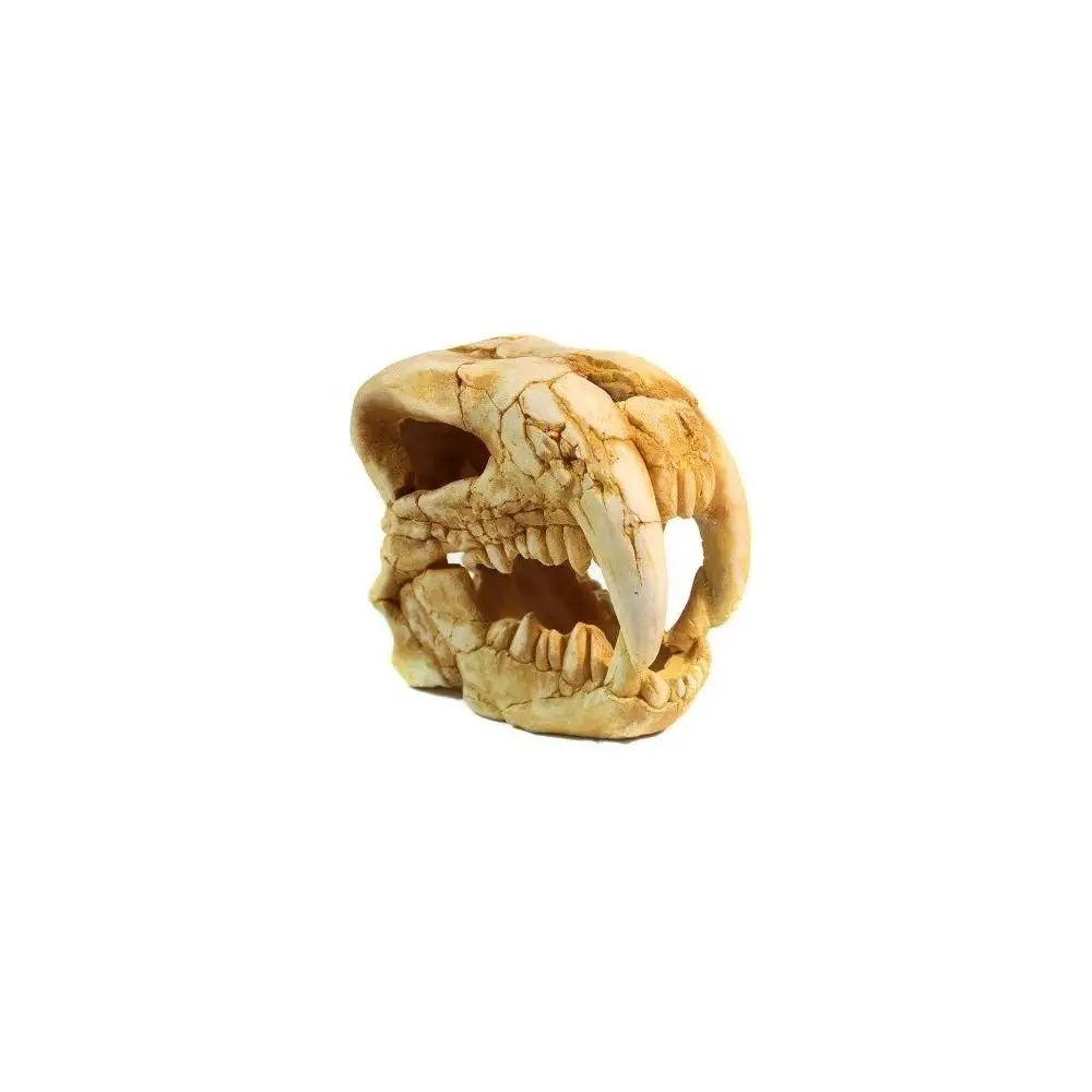 Decoration декси skull dinosaur No. 1002 22 х11х20 cm | Decorations & Ornaments