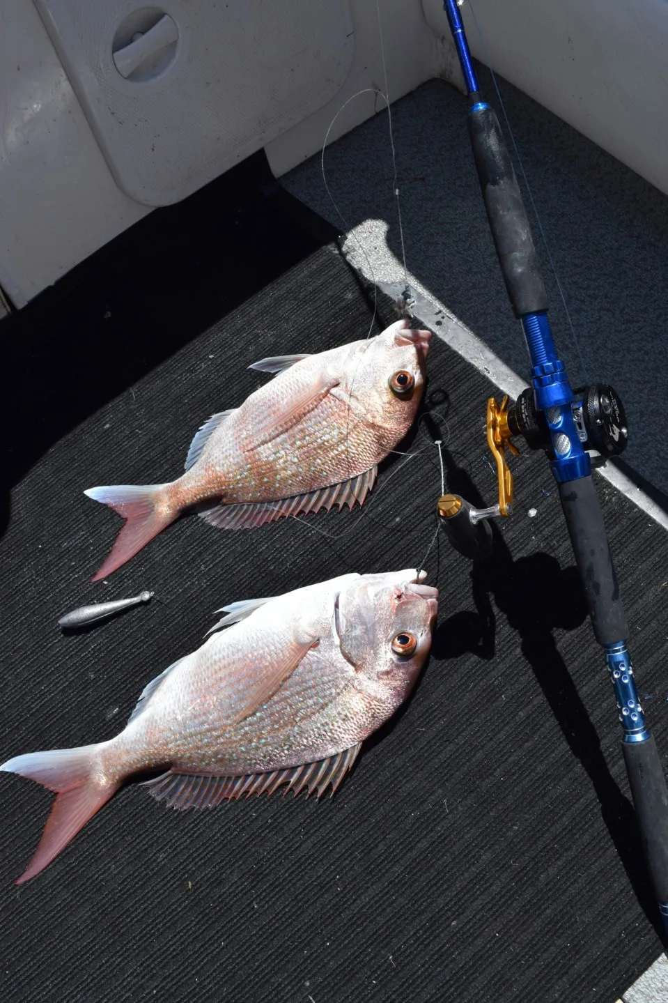 

Supermber Quality 100% IN STOCK Tica Victor TYA Reels.