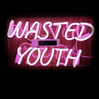 Neon Sign Wasted Youth Neon Bulbs Sign Acrylic Aesthetic Room Decor Home Restaurant Wall sign Beer Club Hotel Filled Gas Lamps