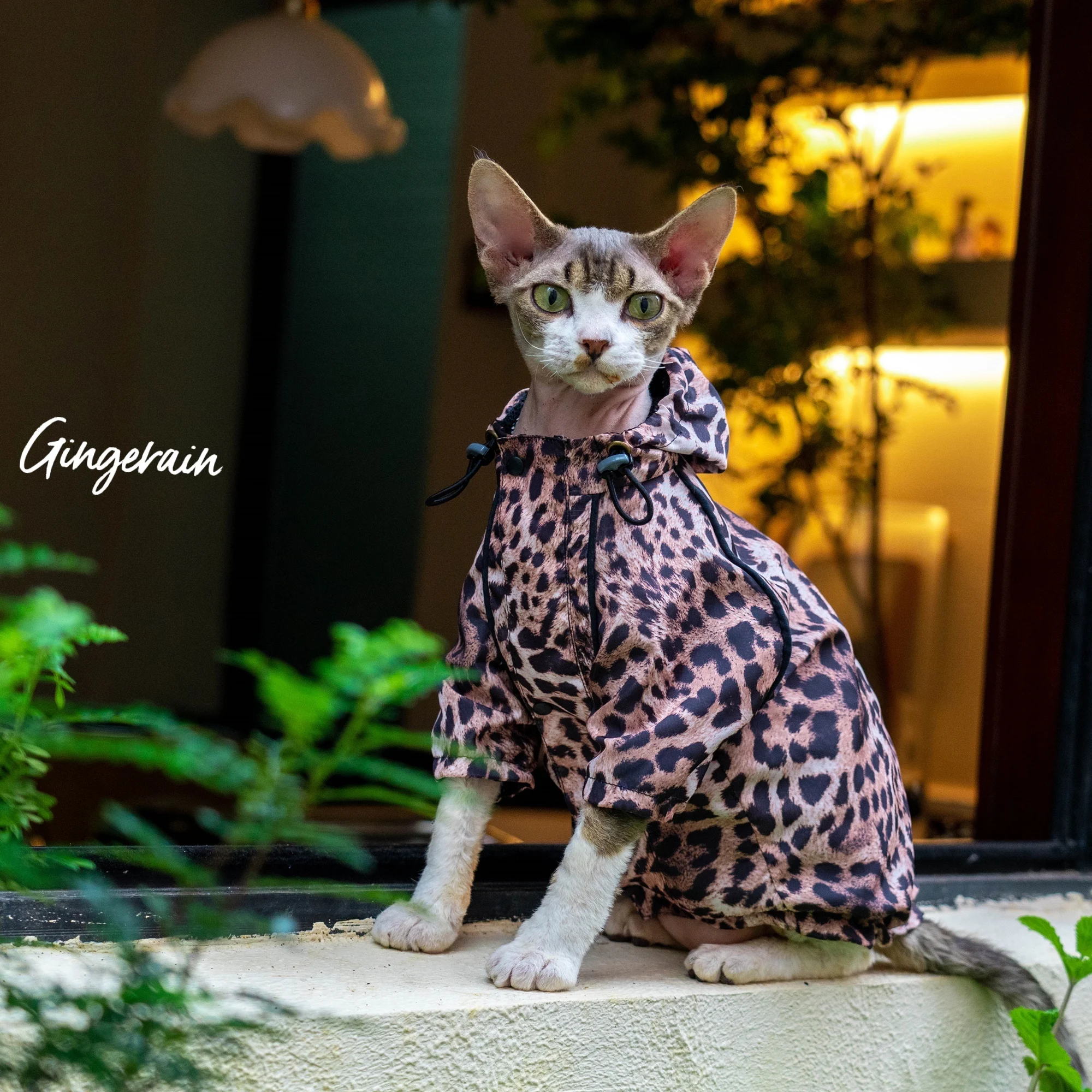 

Gingerain Sphynx Cat Clothes Leopard Print Zip-Up Jacket Comfortable and durable, cool cat clothing