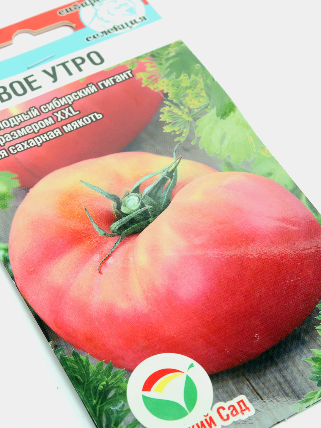 Помидоры с росой. Томат утро. Сорт помидоров утро. Сорт помидоров утро. Томат утренняя роса описание сорта.