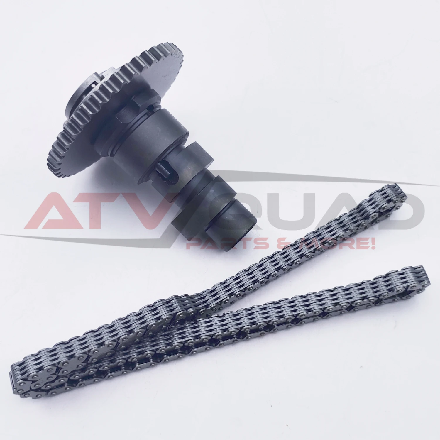 Рисунок 6 - Распредвал с цепью синхронизации