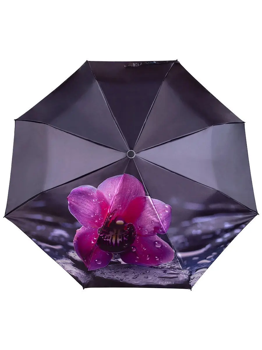 Вайлдберриз зонты женские. Зонты на вайлдберриз. Зонт Dolphin 501r. Зонты на вайлдберриз женские. Валдберис зонт женский.