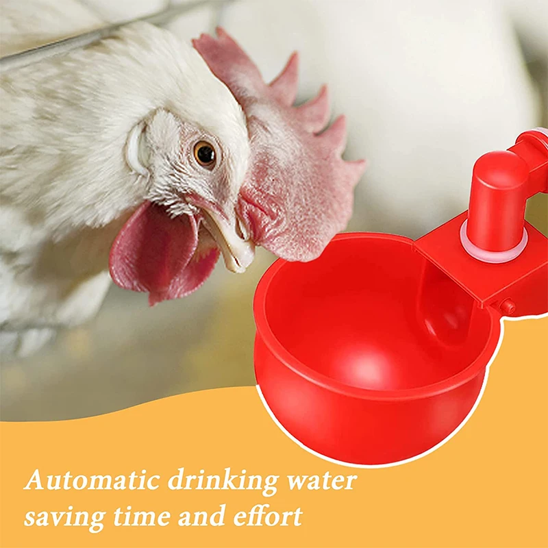 

4/6/12 шт., пластиковые чашки для кормления цыплят