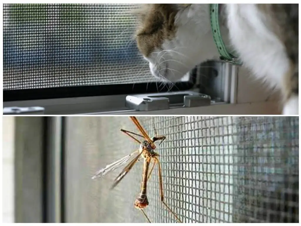 Сетка антикошка на деревянные окна. Полотно антикошка. Сетка от комаров антикошка. Москитные сетки антикошка. Москитная сетка от кошек на пластиковые окна.