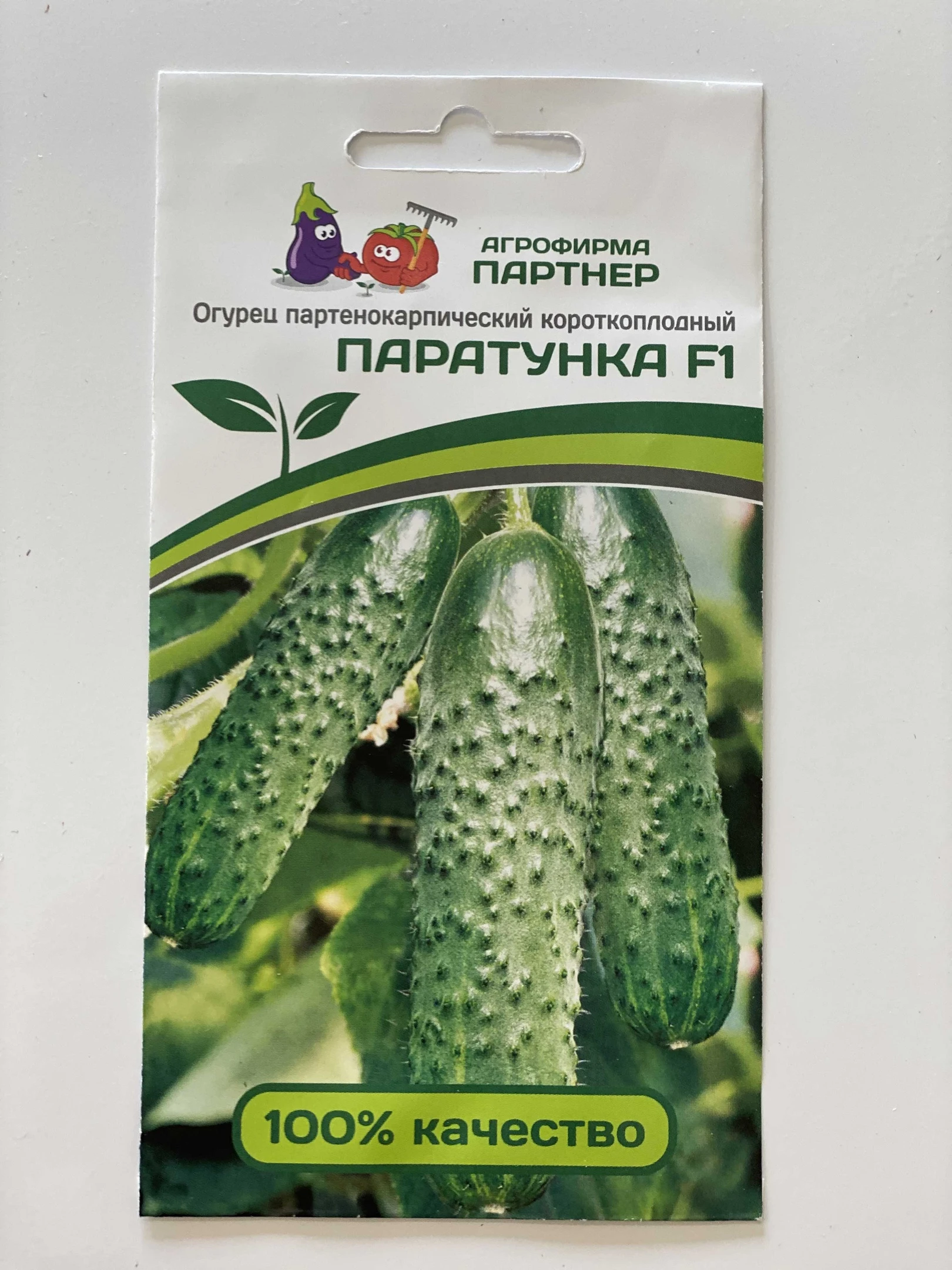огурцы сорт паратунка. огурец паратунка f1. огурец паратунка f1 семко. сорт огурцов паратунка. огурцы сорт парапупунька.