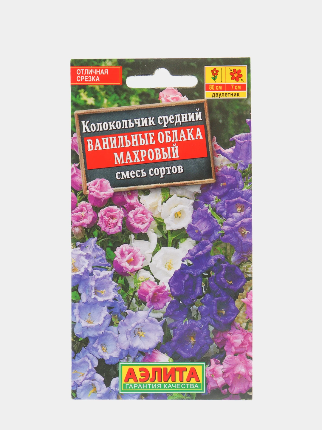 Кампанула Семена Купить В Интернет Магазине