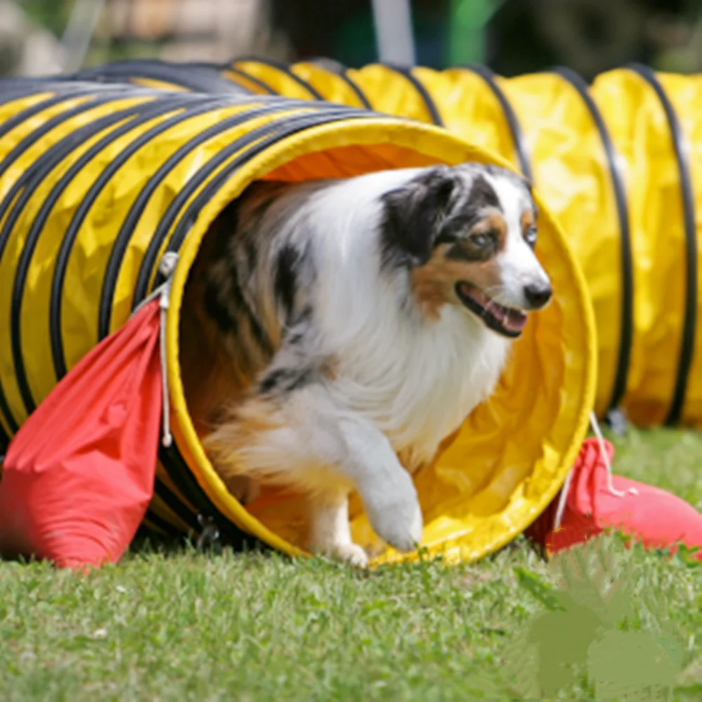 

Pet Dog Tunnel Fci International Competition Level Super Thick Shuttle Sunscreen Moisture Proof Agility Competition Game