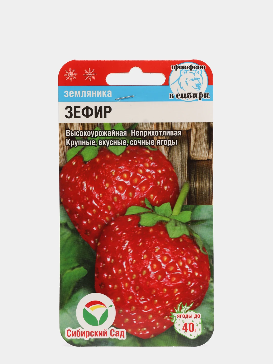 Купить Саженцы Клубники Зефир В Беларуси